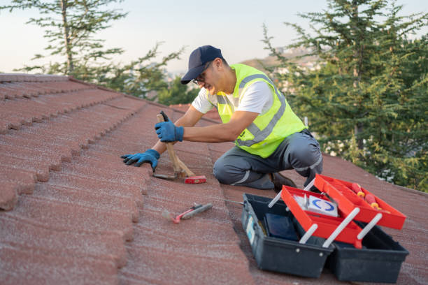 Best Roof Leak Repair  in Bourbon, MO